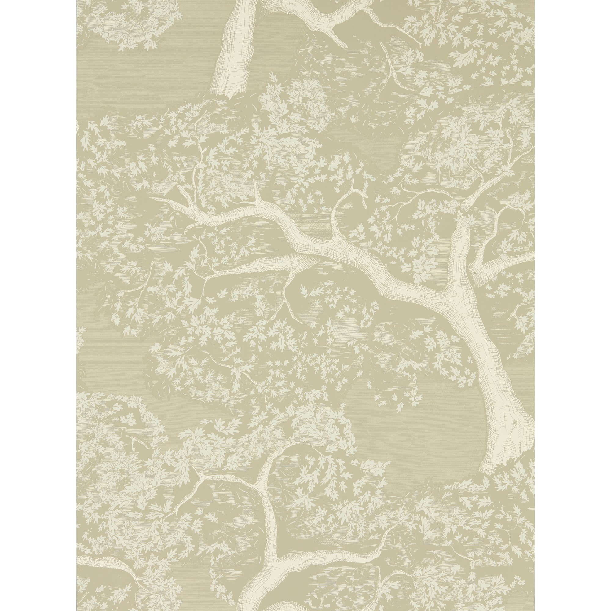 Eternal Oak Wallpaper 113022 By Harlequin In Incense Pearl White